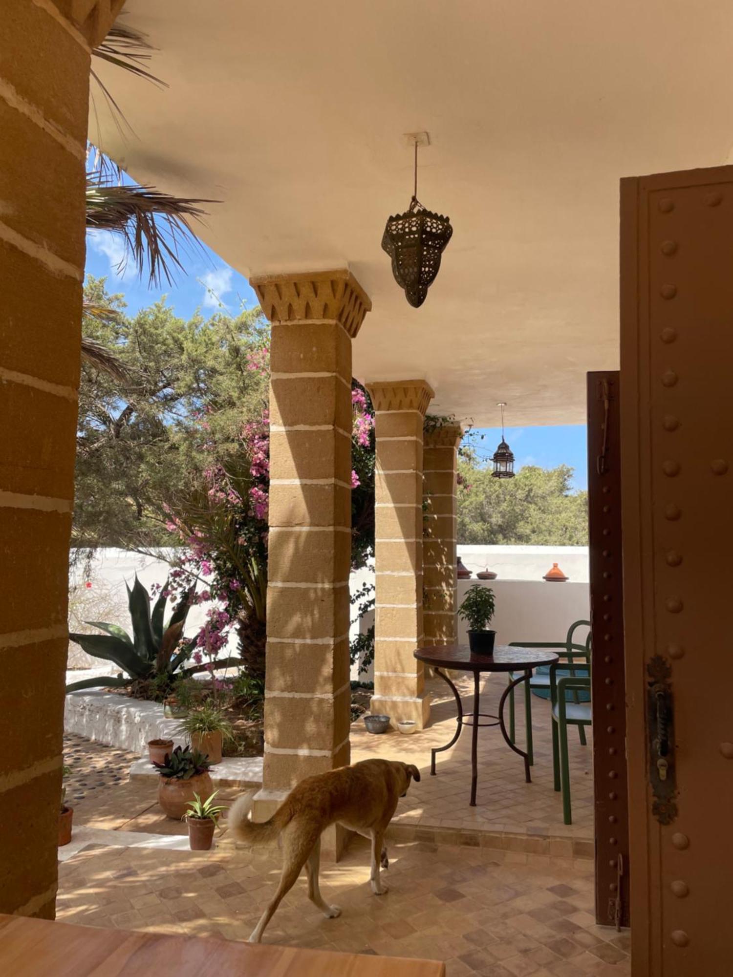 Hotel Villa Soleil Sidi Kaouki Eksteriør bilde